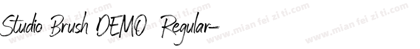 Studio Brush DEMO Regular字体转换